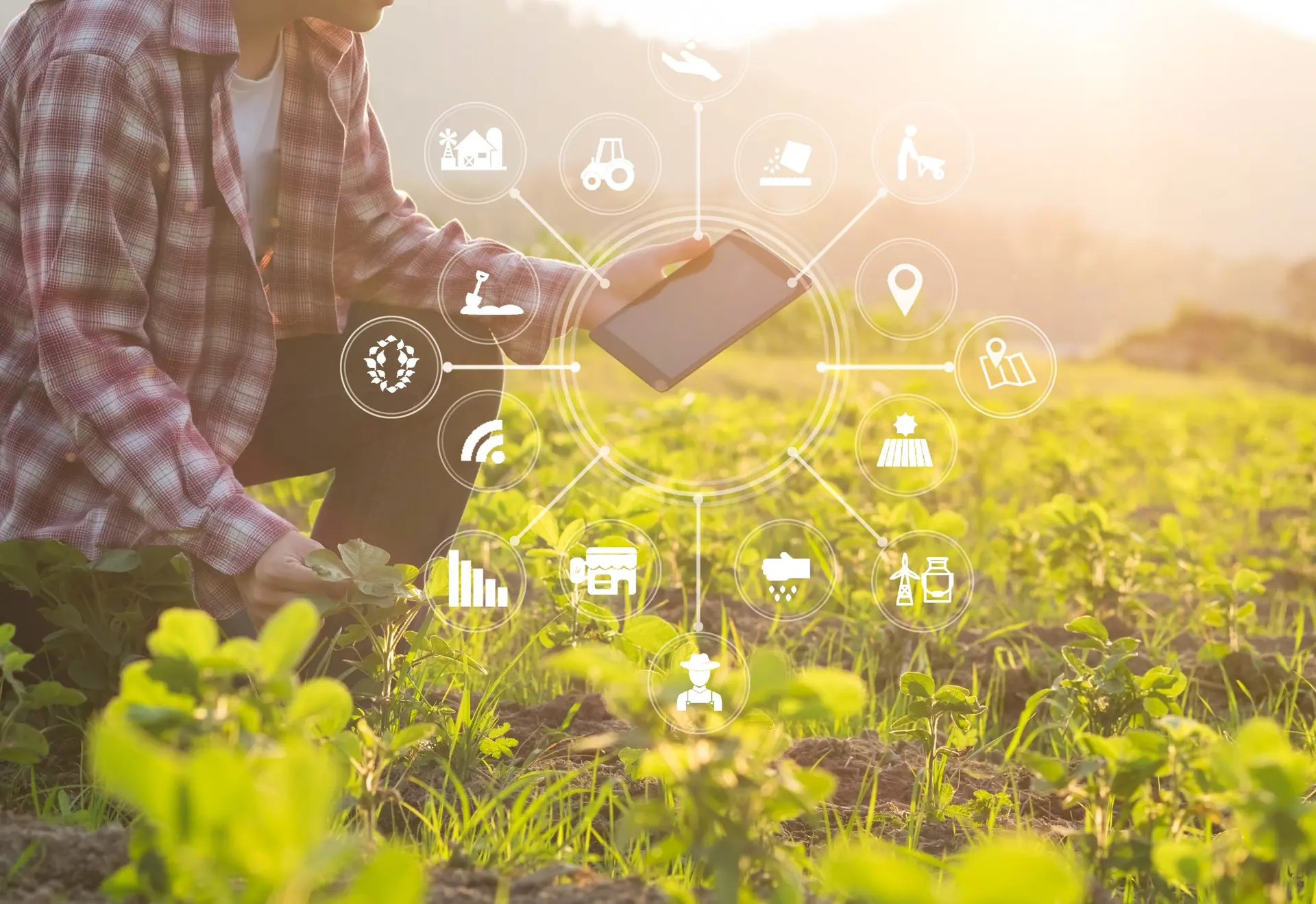 Greenagro agricultural education and knowledge exchange